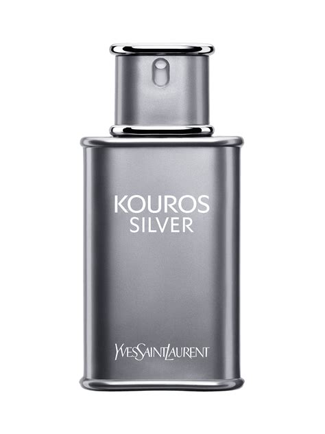 ysl kurucusu|ysl beauty kouros silver.